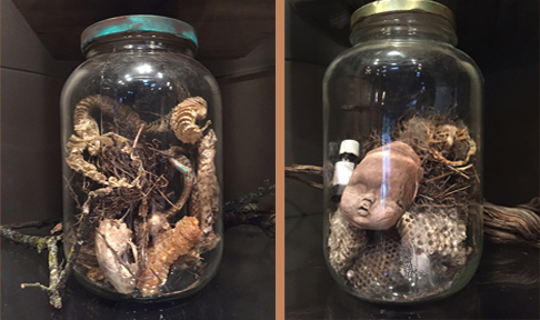 Jars of found nature objects on my bookshelves