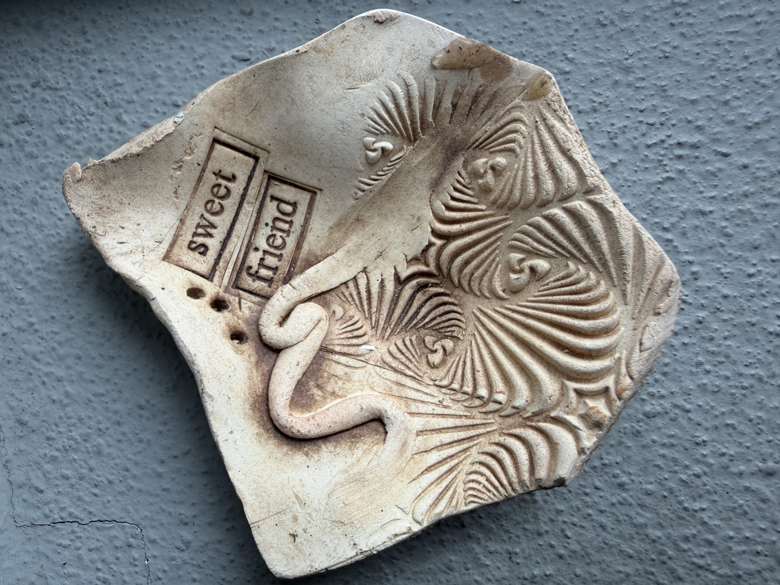 Dish